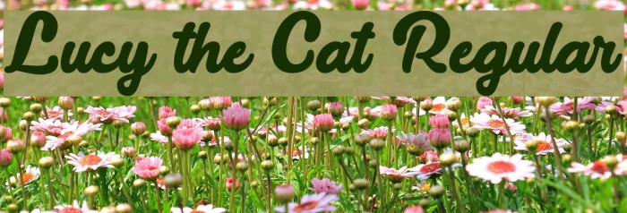 Lucy the Cat Regular Font examples