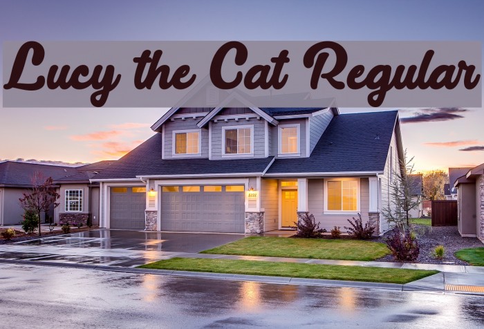 Lucy the Cat Regular Font examples