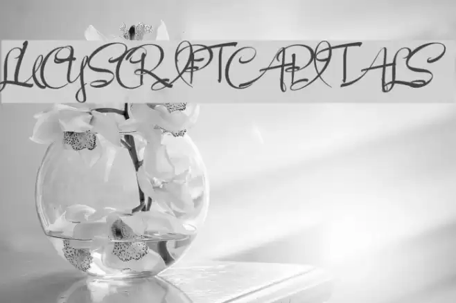 LucyScriptCapitals Шрифта examples