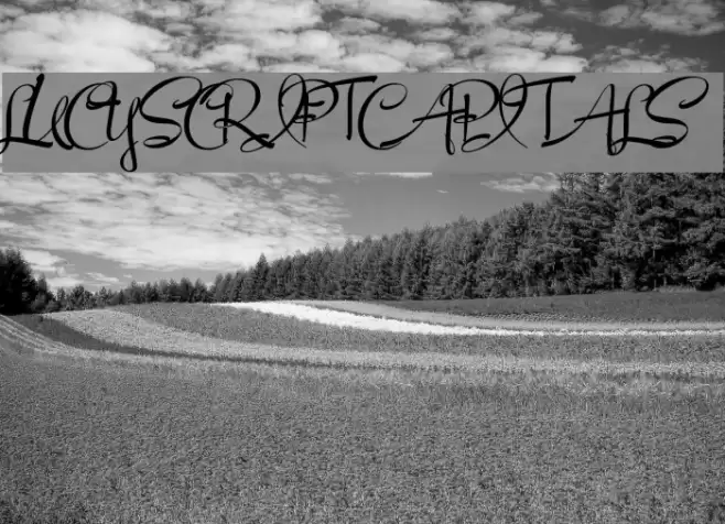 LucyScriptCapitals Шрифта examples