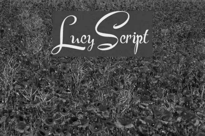 LucyScript Font examples