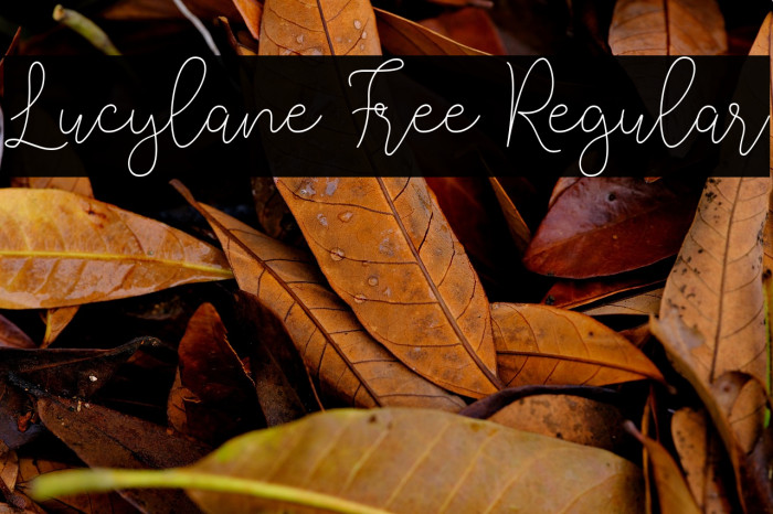 Lucylane Free Regular Example 2