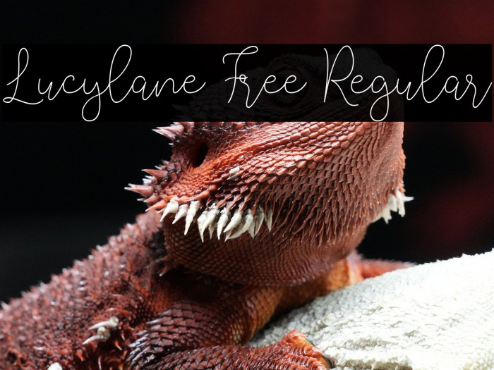 Lucylane Free Regular Example 3