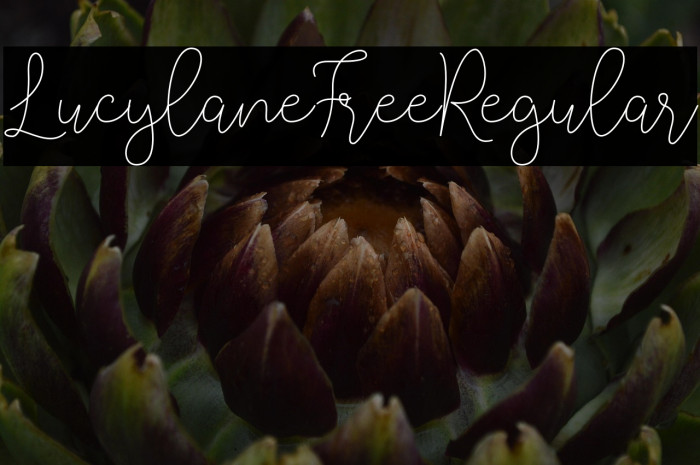 LucylaneFree-Regular Example 2
