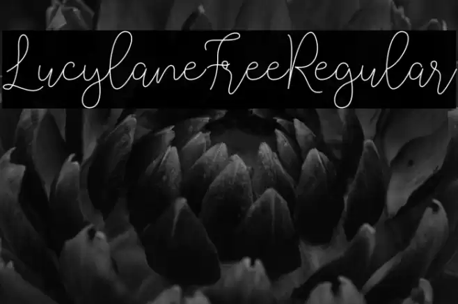 LucylaneFree-Regular Font examples
