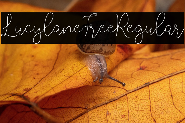 LucylaneFree-Regular Example 3