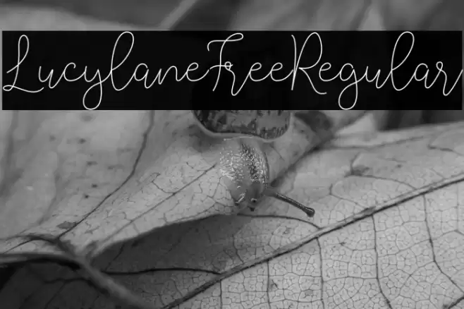 LucylaneFree-Regular Font examples