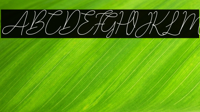 LucylaneFree-Slant Example 2