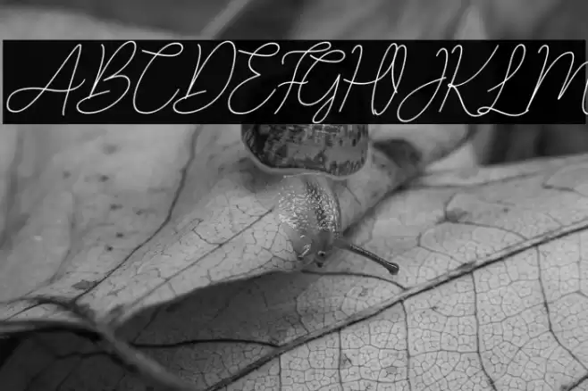 LucylaneFree-Slant Font examples