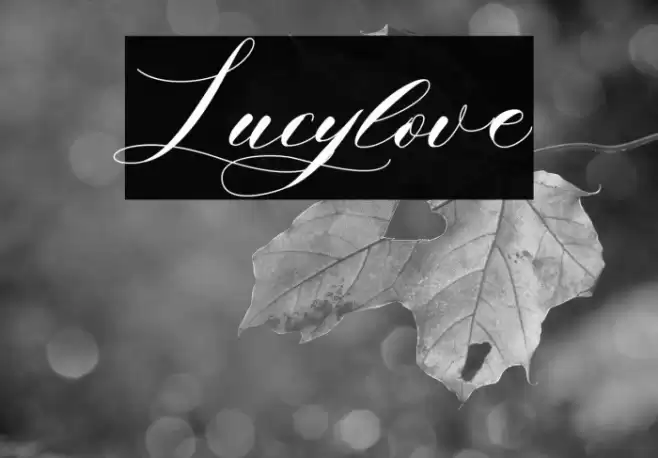 Lucylove Font examples