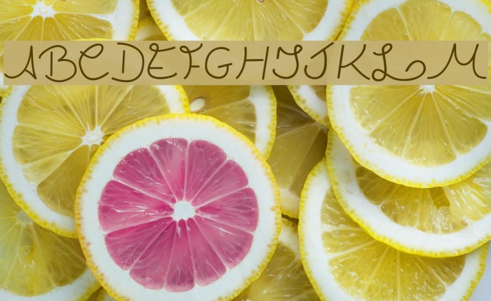 Ludiv1.0 Font examples