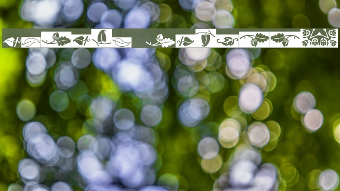 Ludlow Dingbats Example 1