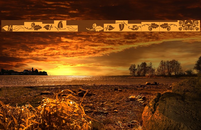 Ludlow Dingbats Example 3