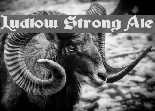 Ludlow Strong Ale Fonte examples