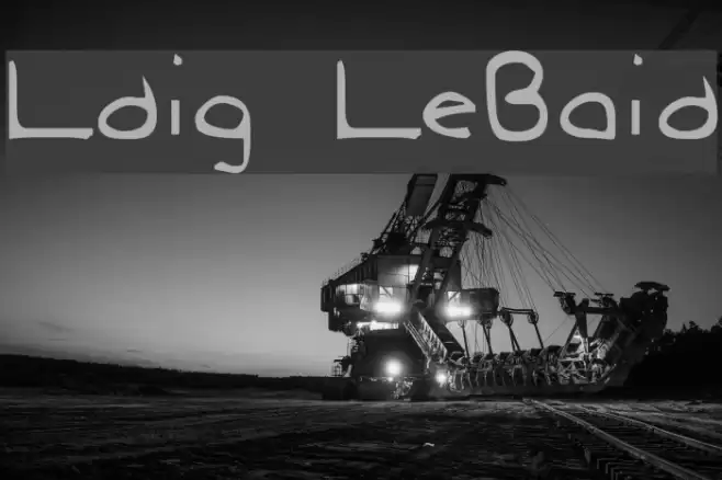 Ludwig LooseBraids Polices examples