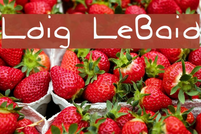 Ludwig LooseBraids Font examples