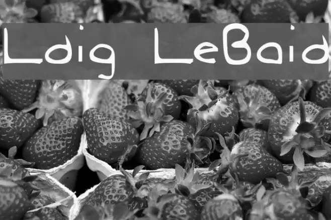 Ludwig LooseBraids Polices examples