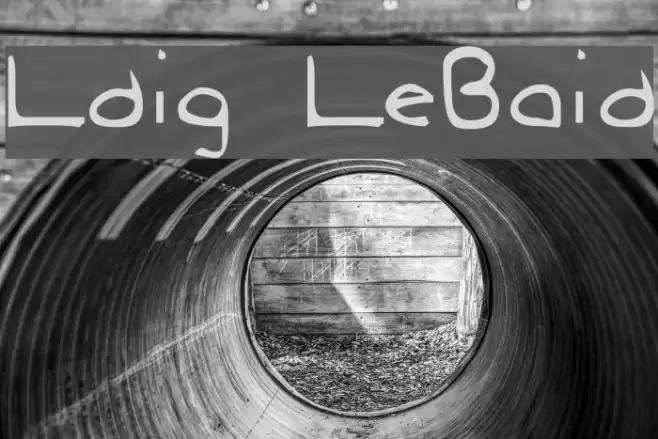 Ludwig LooseBraids Polices examples