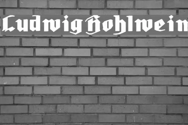 LudwigHohlwein Font examples