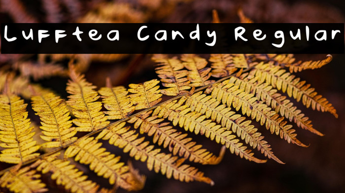 Lufftea Candy Regular Example 3