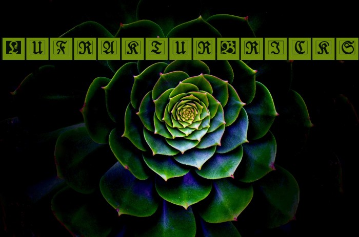 LufrakturBricks Font examples