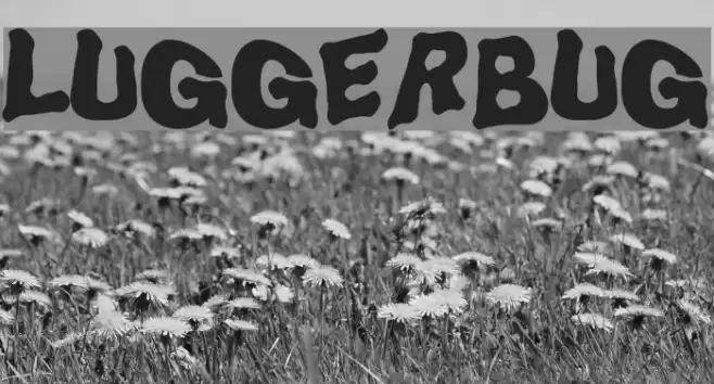 LuggerBug Font examples