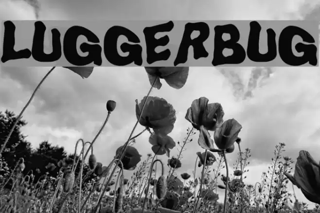 LuggerBug Font examples