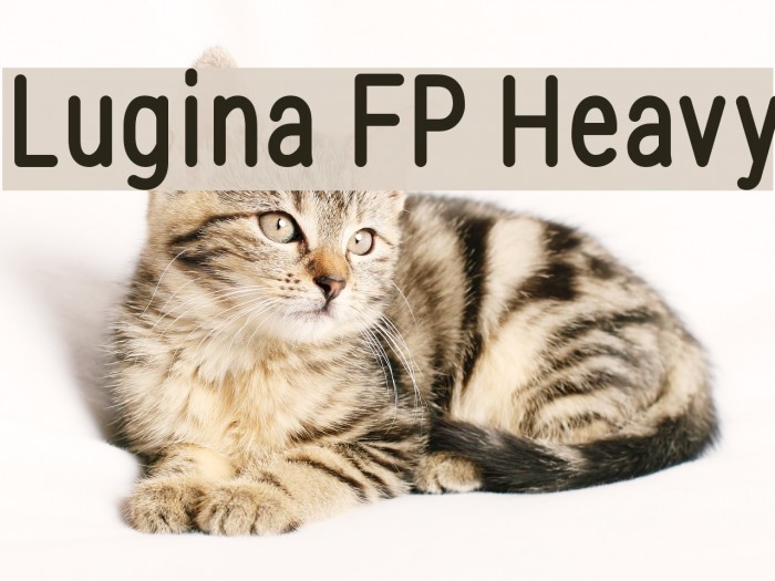 Lugina FP Heavy Font examples