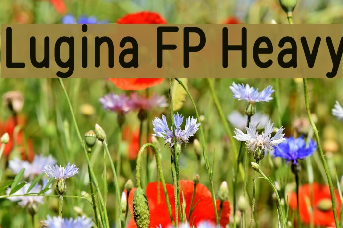 Lugina FP Heavy Font examples