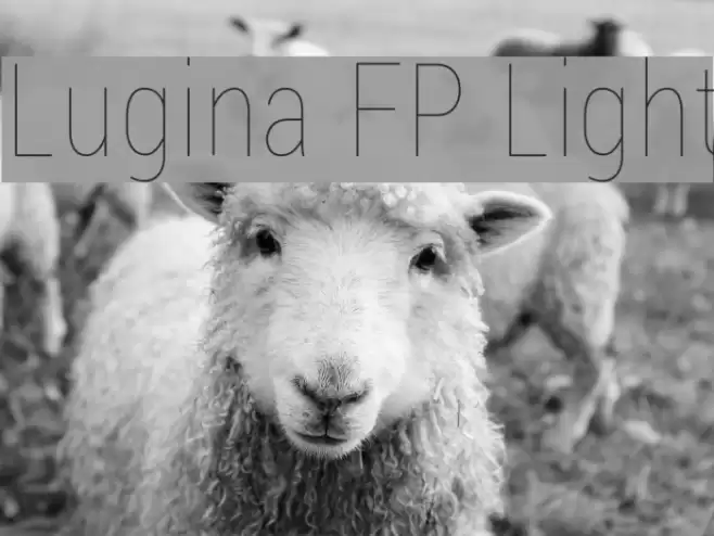 Lugina FP Light Font examples