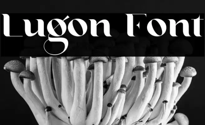 Lugon Font examples