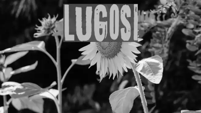 Lugosi Font examples