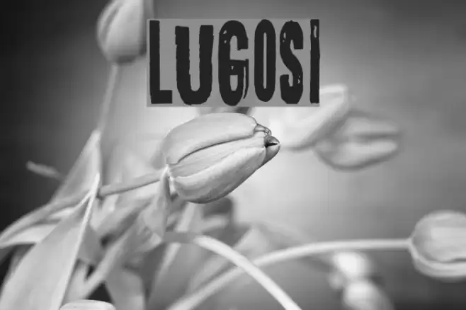 Lugosi Font examples