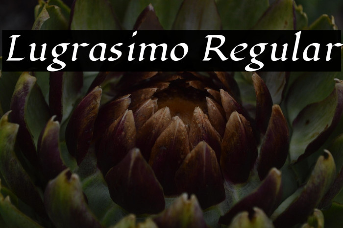 Lugrasimo Regular Example 2