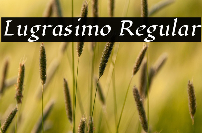 Lugrasimo Regular Example 3