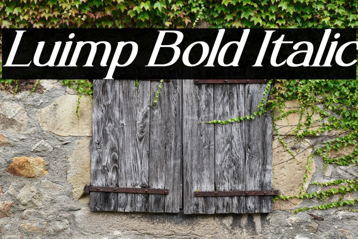 Luimp Bold Italic Example 1
