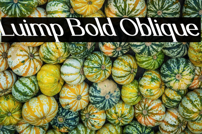 Luimp Bold Oblique Example 3