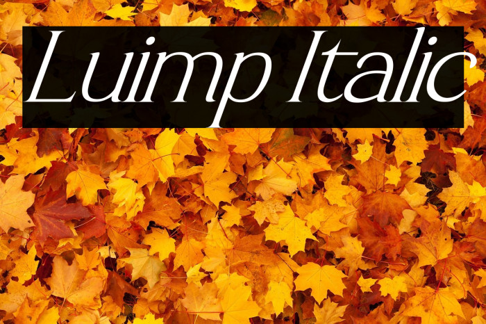 Luimp Italic Example 1