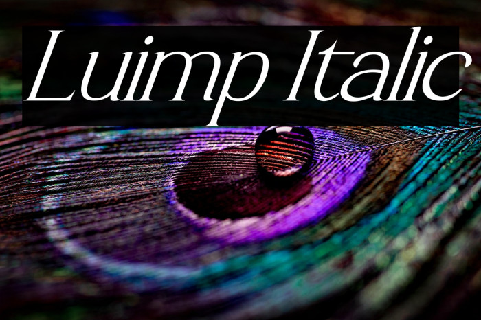Luimp Italic Example 3