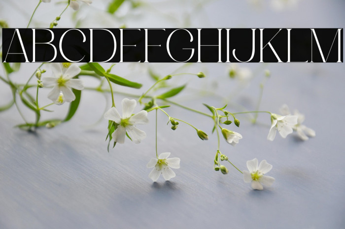 Luimp Light Example 3