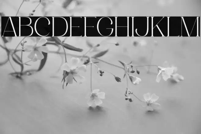 Luimp Light Font examples