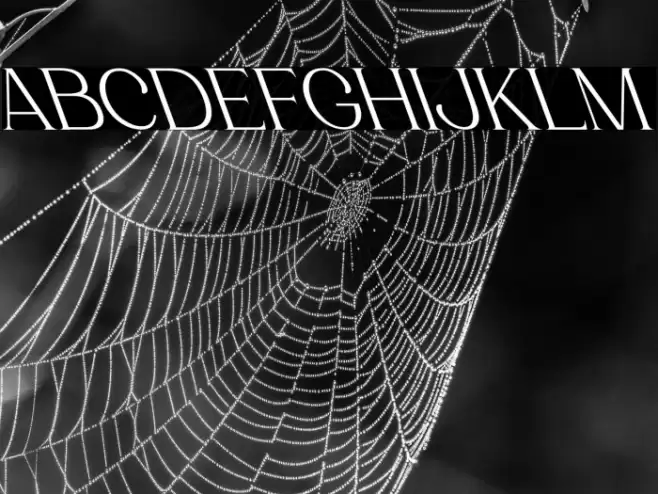 Luimp Oblique Font examples