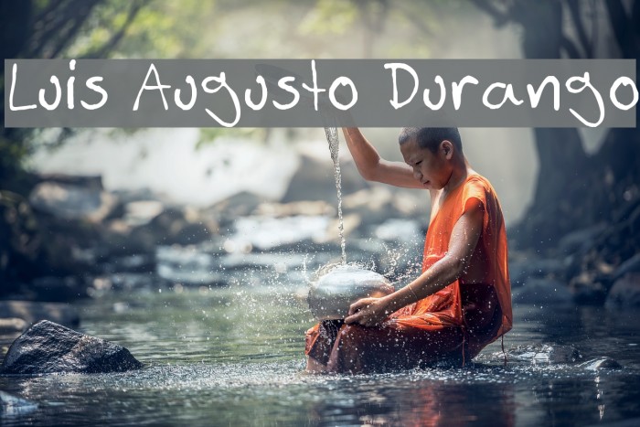 Luis Augusto Durango Font examples