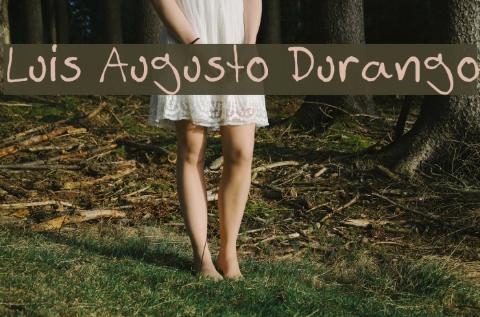 Luis Augusto Durango Font examples