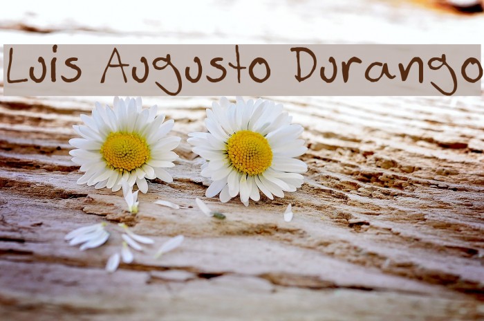 Luis Augusto Durango Font examples