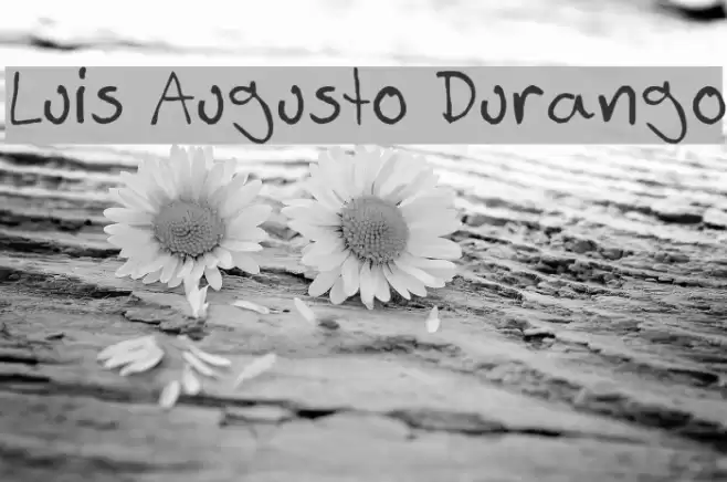 Luis Augusto Durango Шрифта examples
