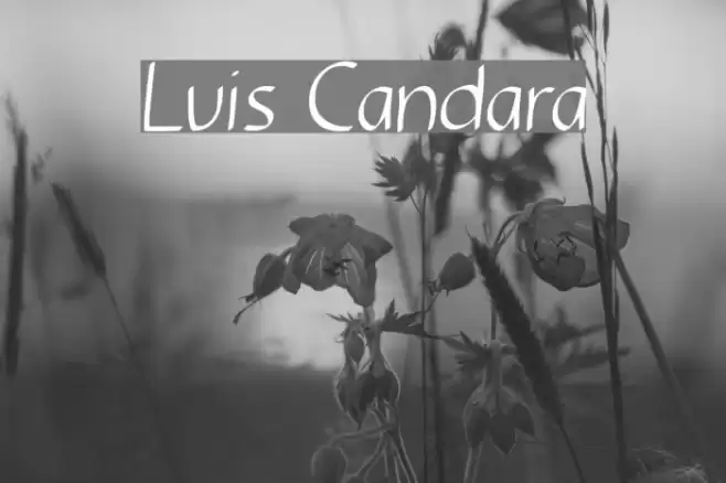 Luis Candara Font examples