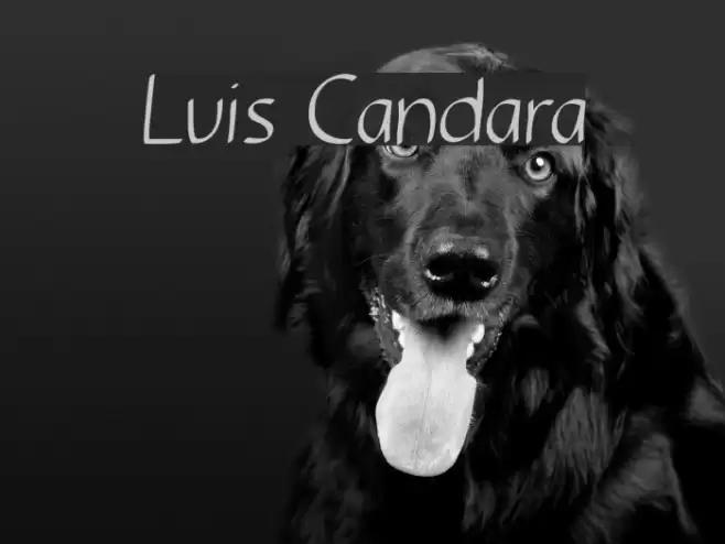 Luis Candara Font examples
