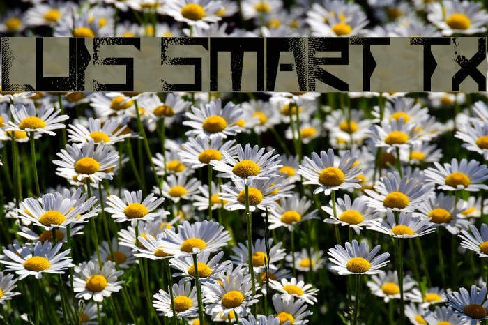 Luis Smart TX Font examples