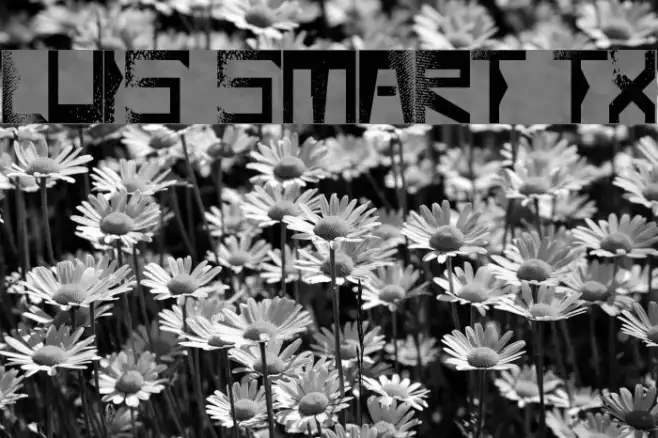 Luis Smart TX Example 1